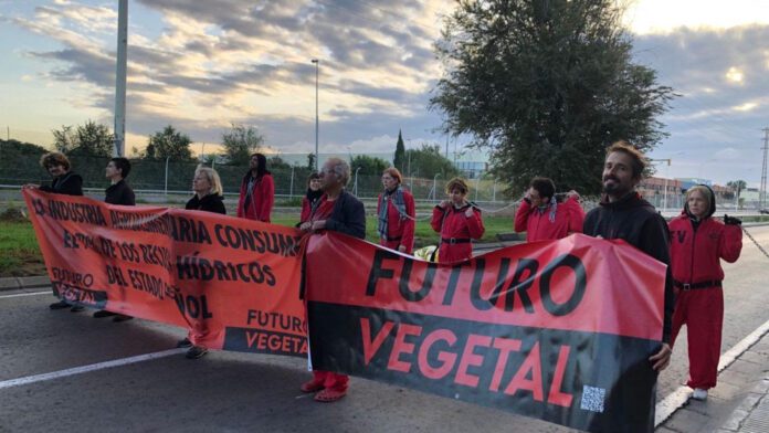 activismo climático activismo climático