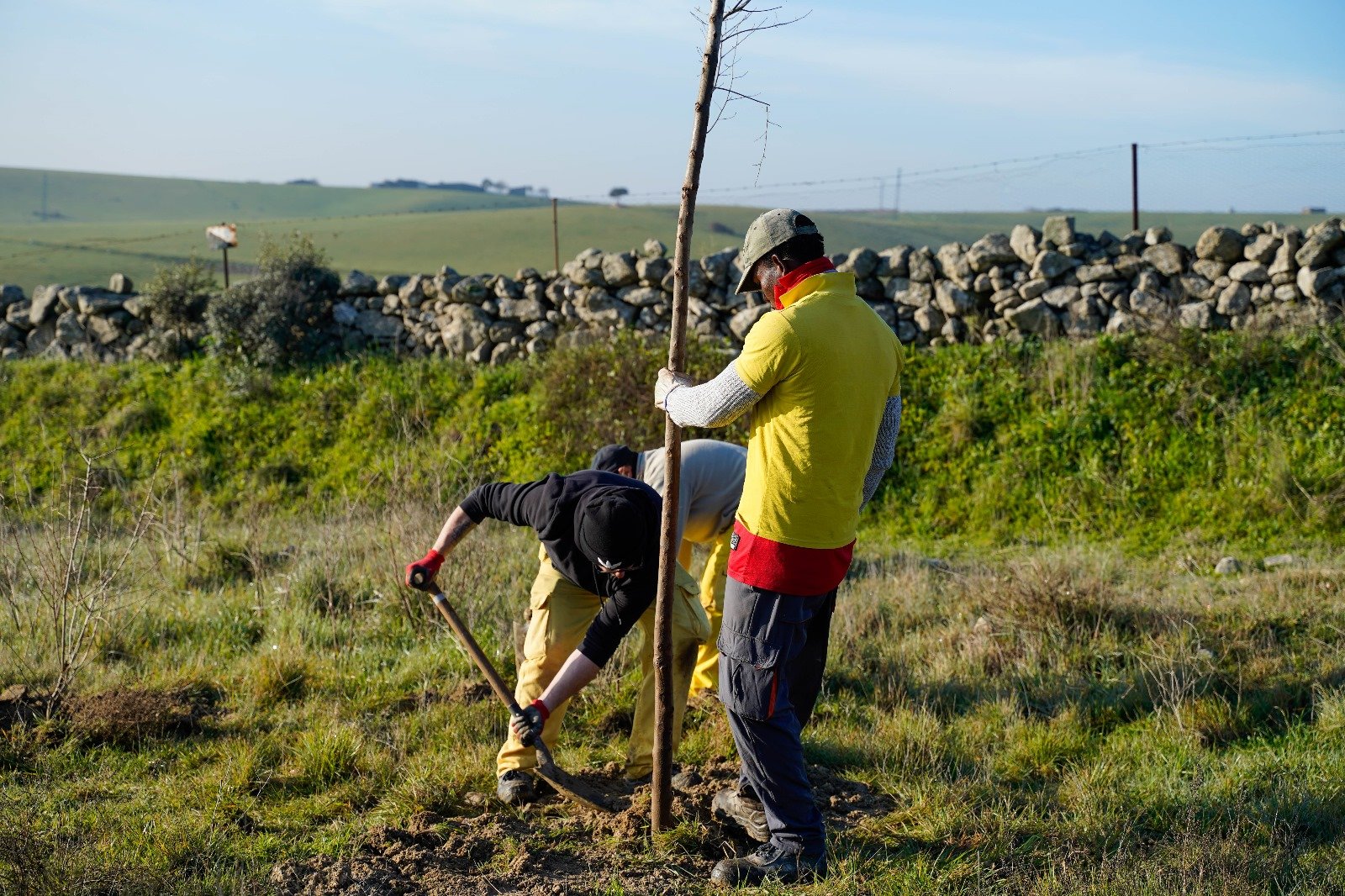 Arco Verde a su paso por Colmenar Viejo