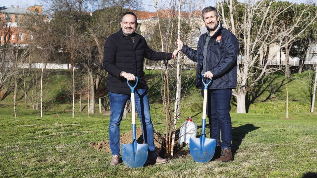 plantación de arbolado de Prado Ovejero a cargo del PIR en mostoles
