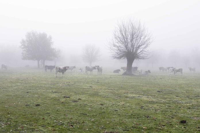 Todo lo que cambia Circe Ervina