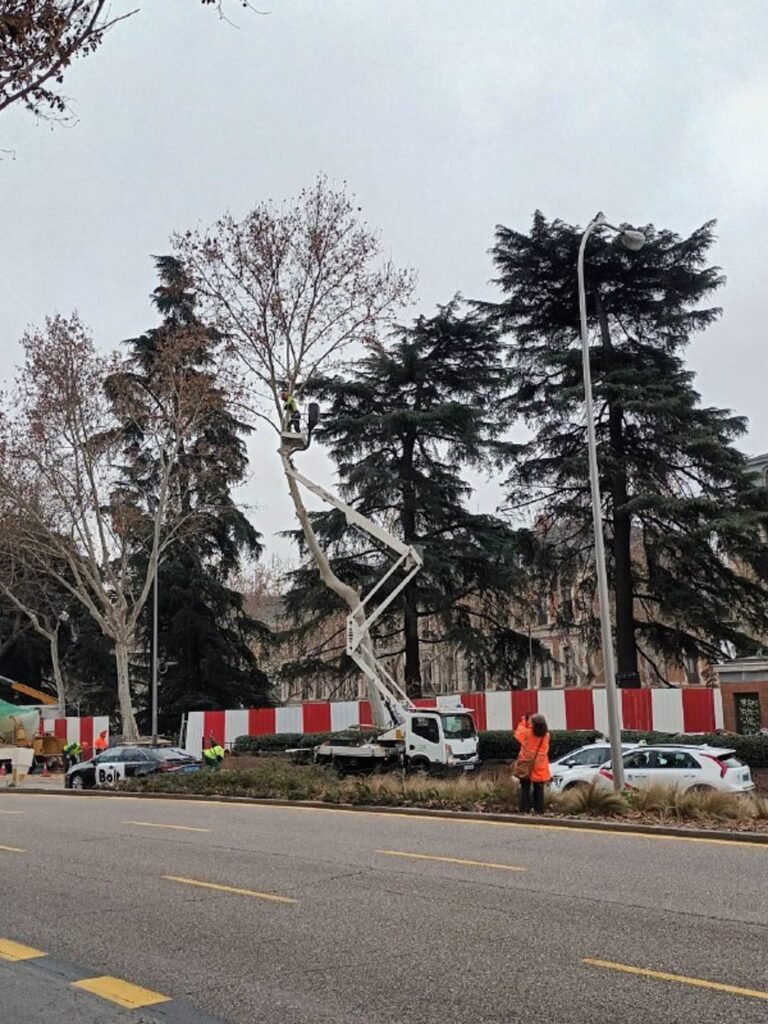 talas en el Paisaje de la Luz