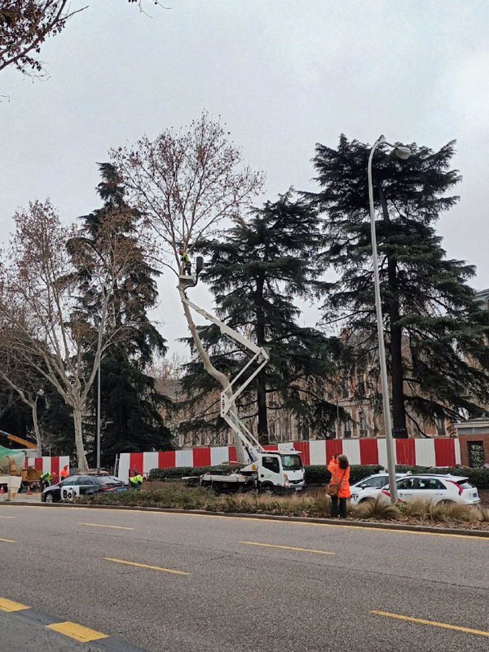 talas en el Paisaje de la Luz