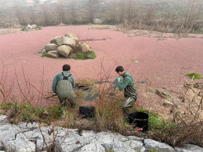 fotonoticia_20240223150308_1920