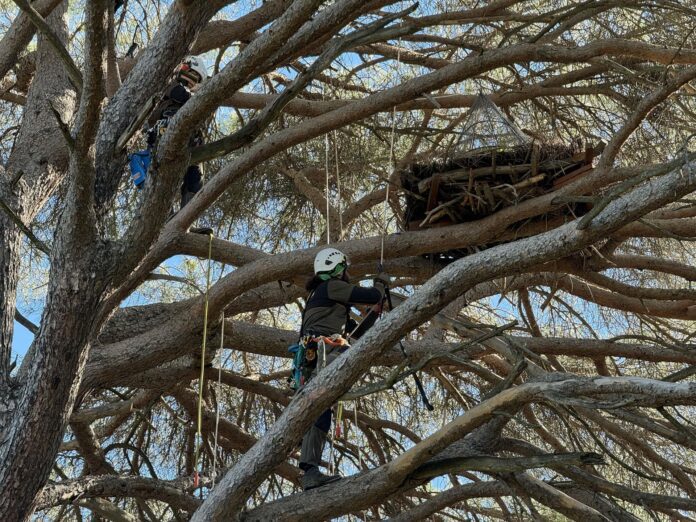 fotonoticia_20240226111512_1920