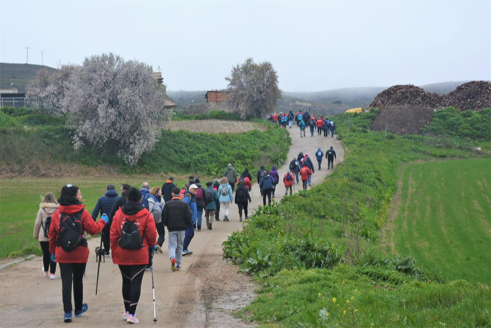 ruta dedicada a la donacion de organos