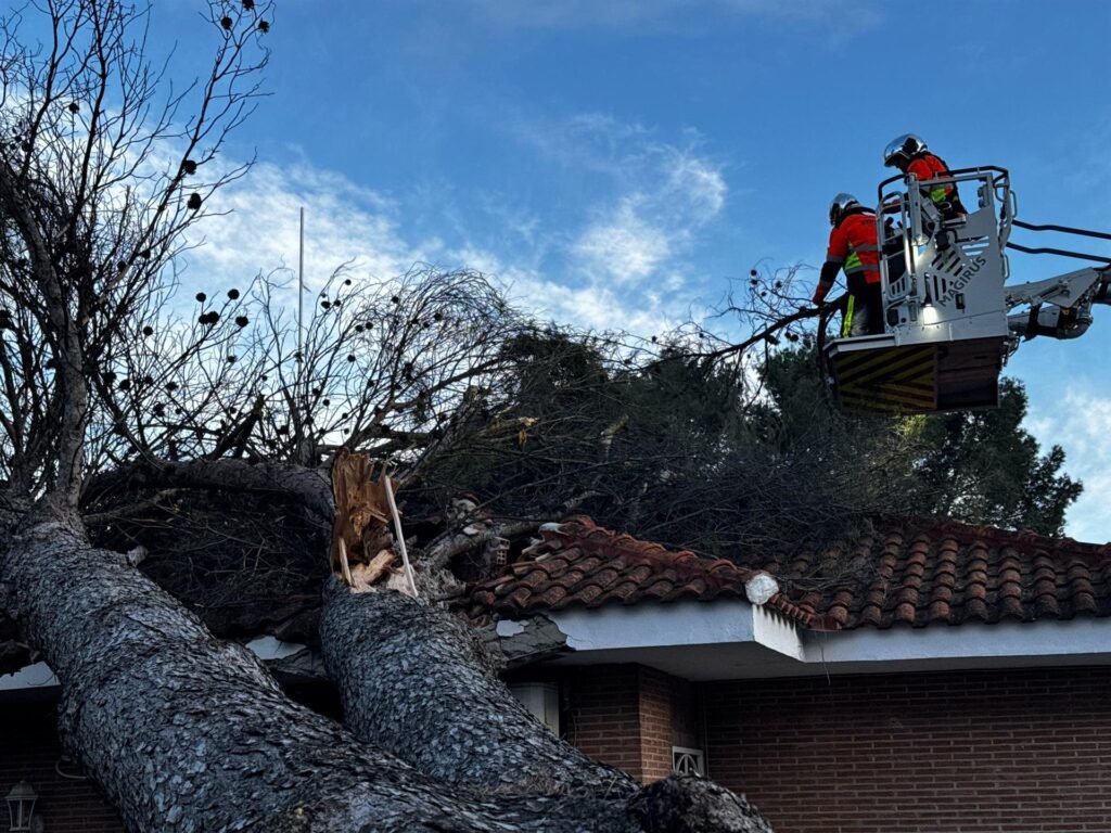 caida de arbol en villalbilla