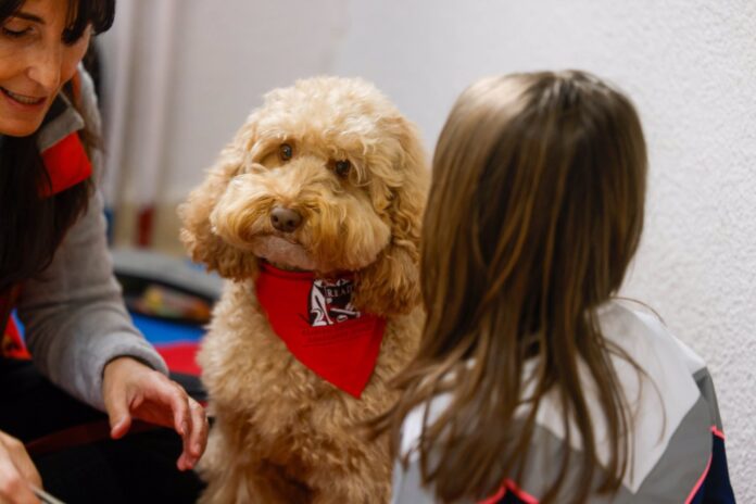 Perros y Letras colabora en la educación de los niños con necesidades educativas especiales