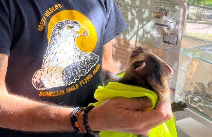 Hospital de Fauna Salvaje de Grefa