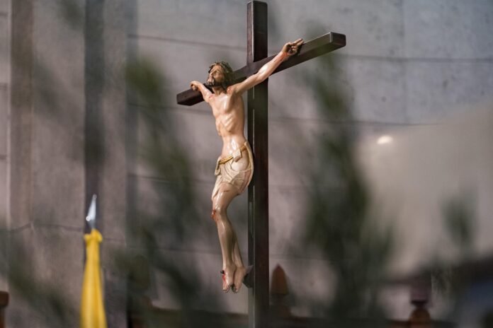 DFCA6EC1-9B71-43A9-82BC-82D67C4CF943