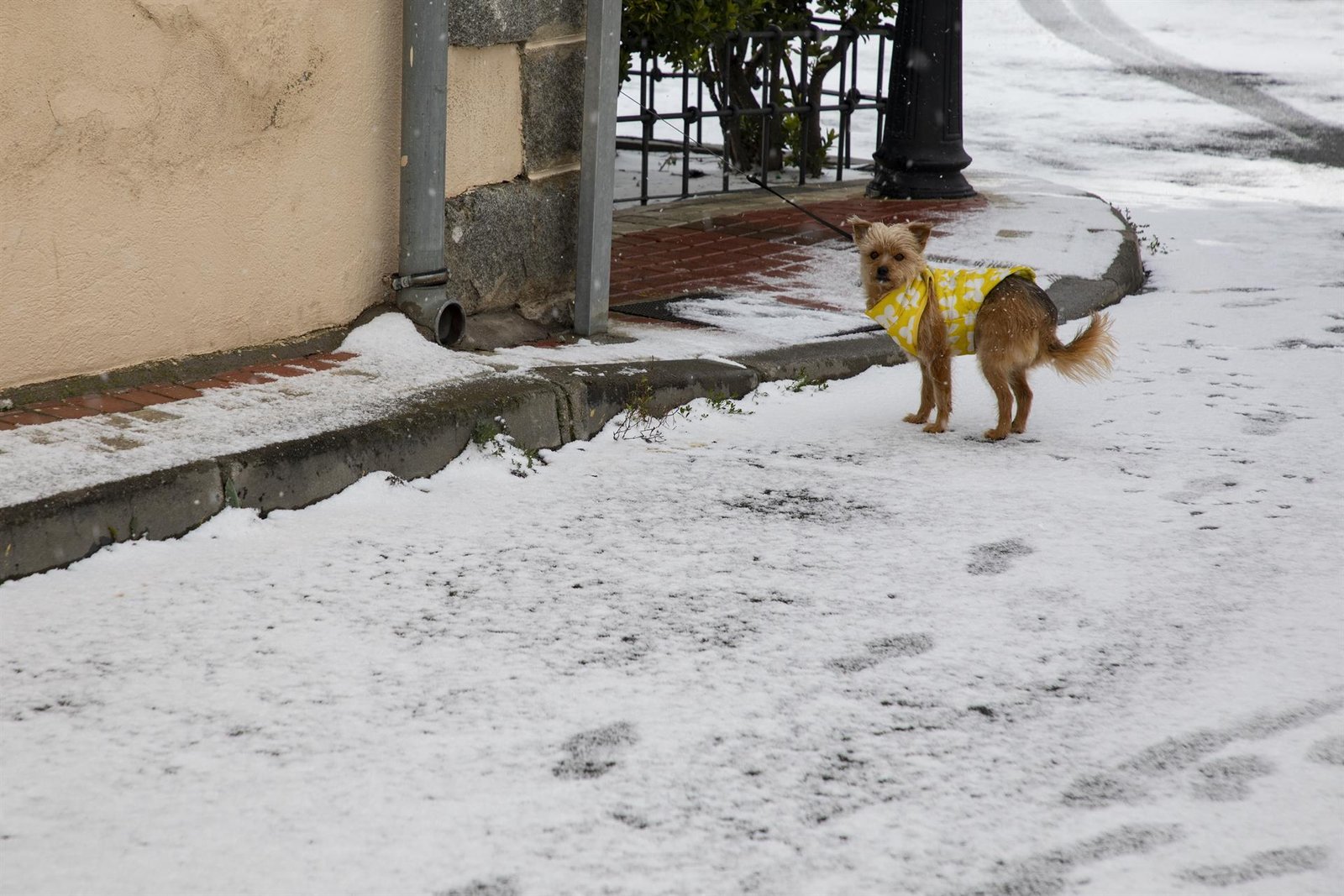 Aemet prolonga el aviso de nieve en la Sierra durante todo el sábado