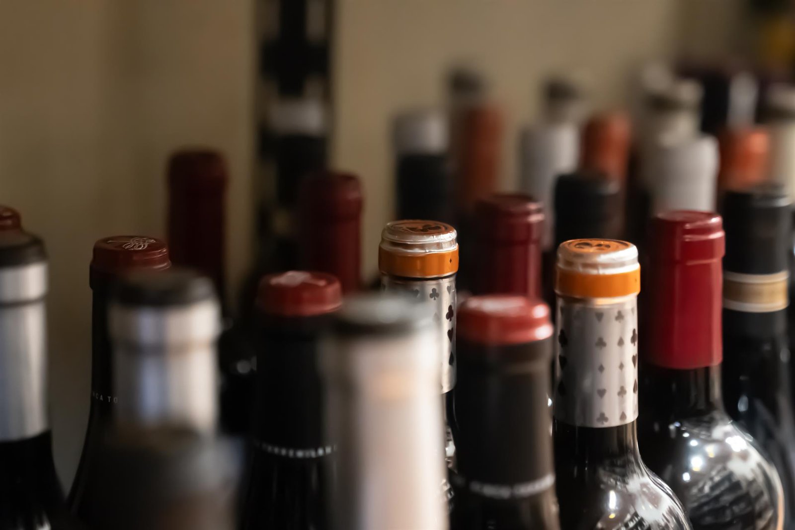 certamen Vinespaña