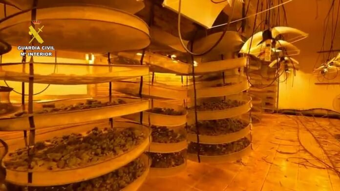 Cuatro detenidos e intervenidos 122 kilos de marihuana en una casa de Pinto