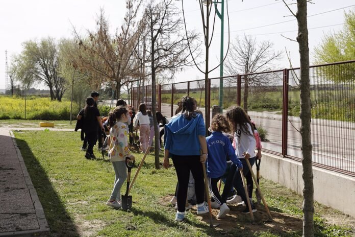 Plan Colegios Sostenibles contra el cambio climático