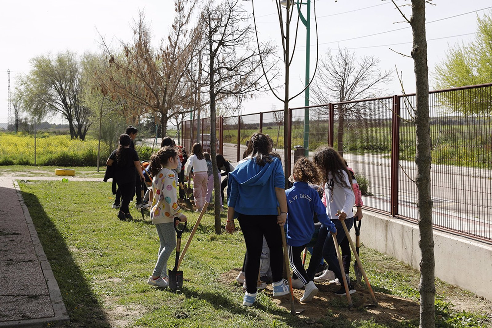 Plan Colegios Sostenibles contra el cambio climático