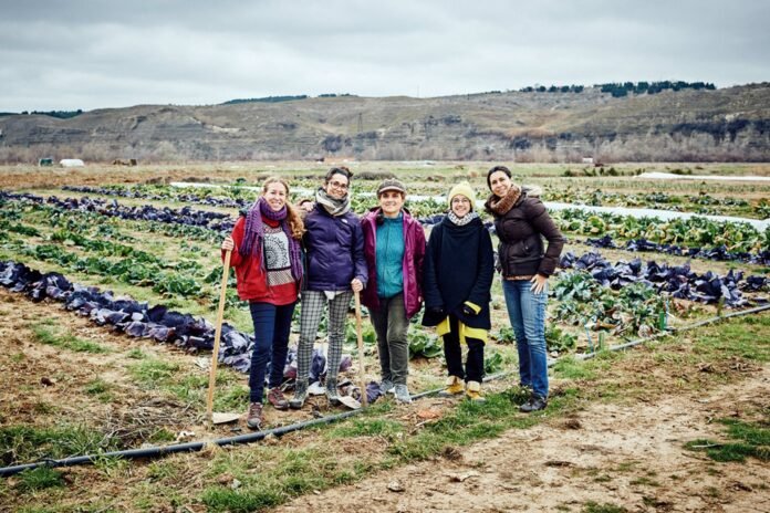 Rivas.- Adjudicadas seis nuevas parcelas del parque agroecológico del Soto del Grillo