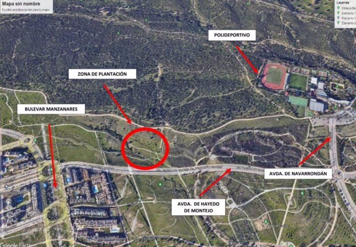 Los bebés nacidos en el municipio en 2023 tendrán un árbol en un espacio verde de la ciudad Los bebés nacidos en el municipio en 2023 tendrán un árbol en un espacio verde de la ciudad