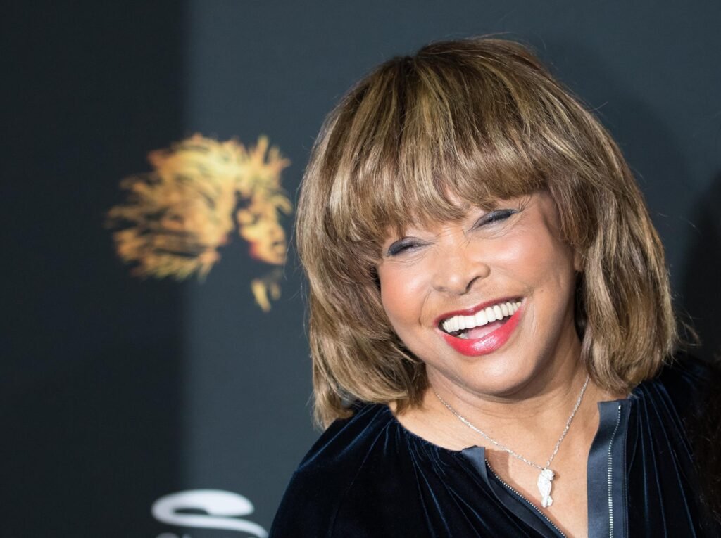 homenaje tina turner