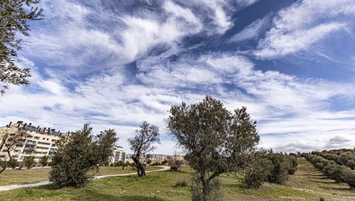 Rivas.- La Junta de Gobierno incoa el expediente de redacción del proyecto Renatura Rivas