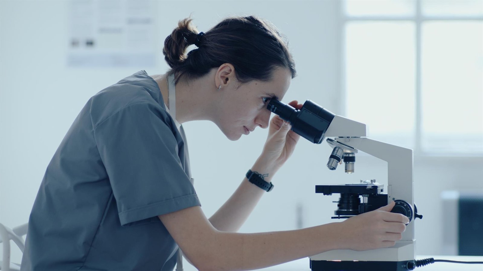 Las becas de introducción a la investigación