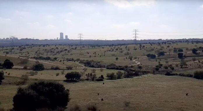 La plataforma contra desarrollo urbanístico Los Carriles organiza una marcha botánica para conocer flora