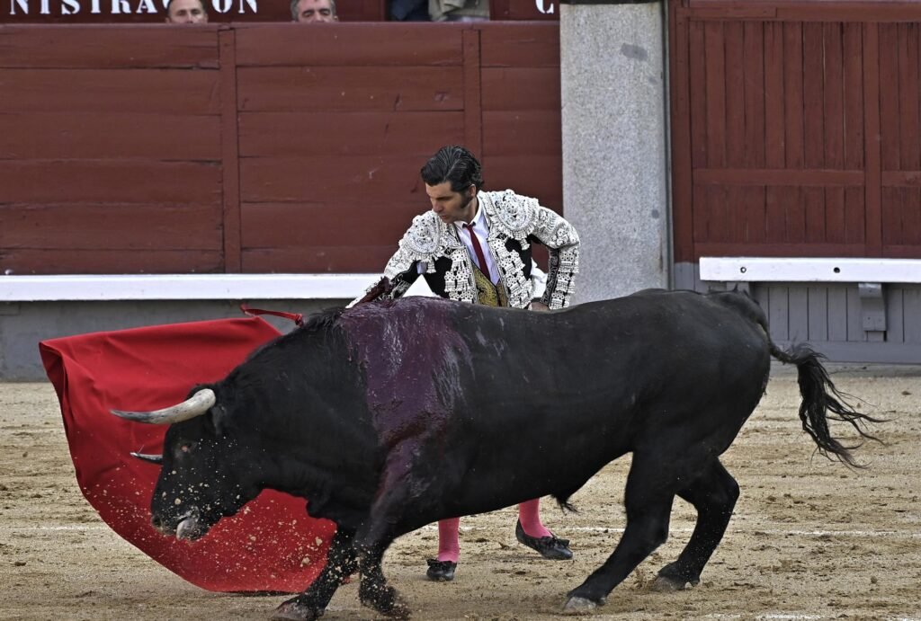 Maestre defiende el fin del premio nacional de tauromaquia porque los recursos públicos no pueden ir a "maltrato animal"