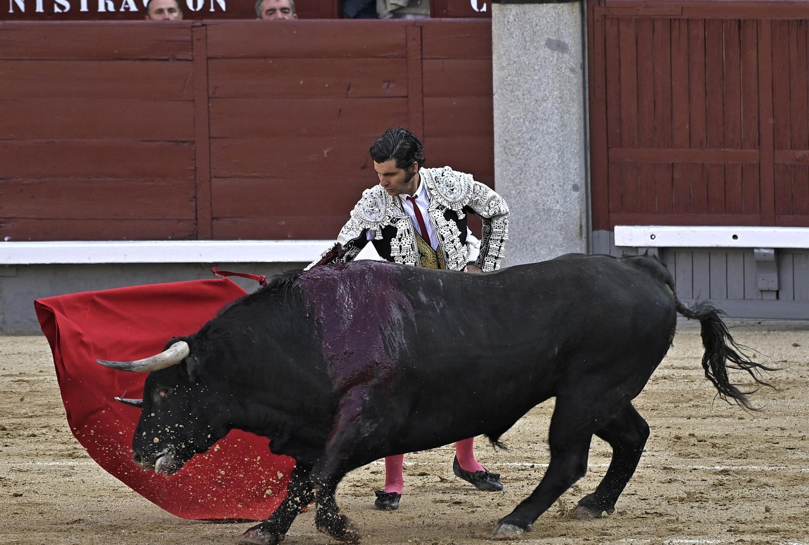 Maestre defiende el fin del premio nacional de tauromaquia porque los recursos públicos no pueden ir a "maltrato animal"