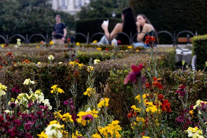 niveles de polen en la comunidad de madrid