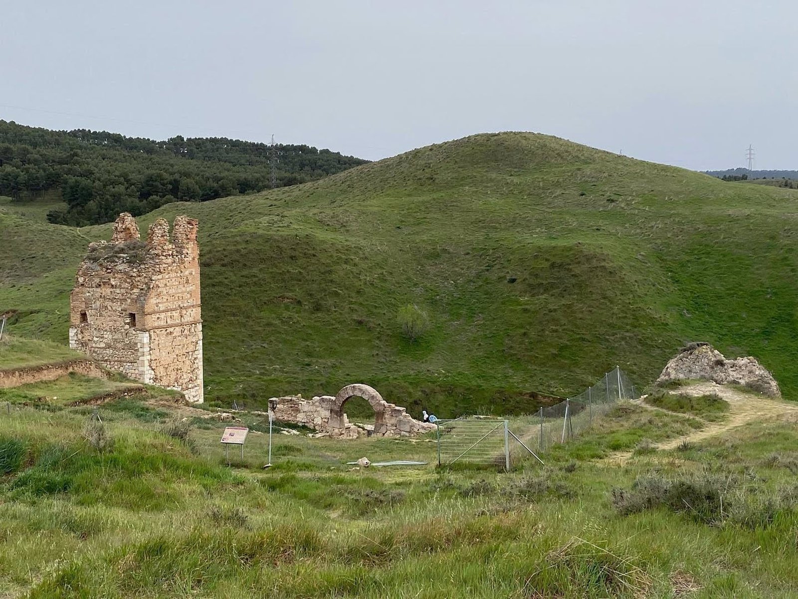 Un sinfín de actividades verdes para celebrar la Semana del Medio Ambiente en Alcalá