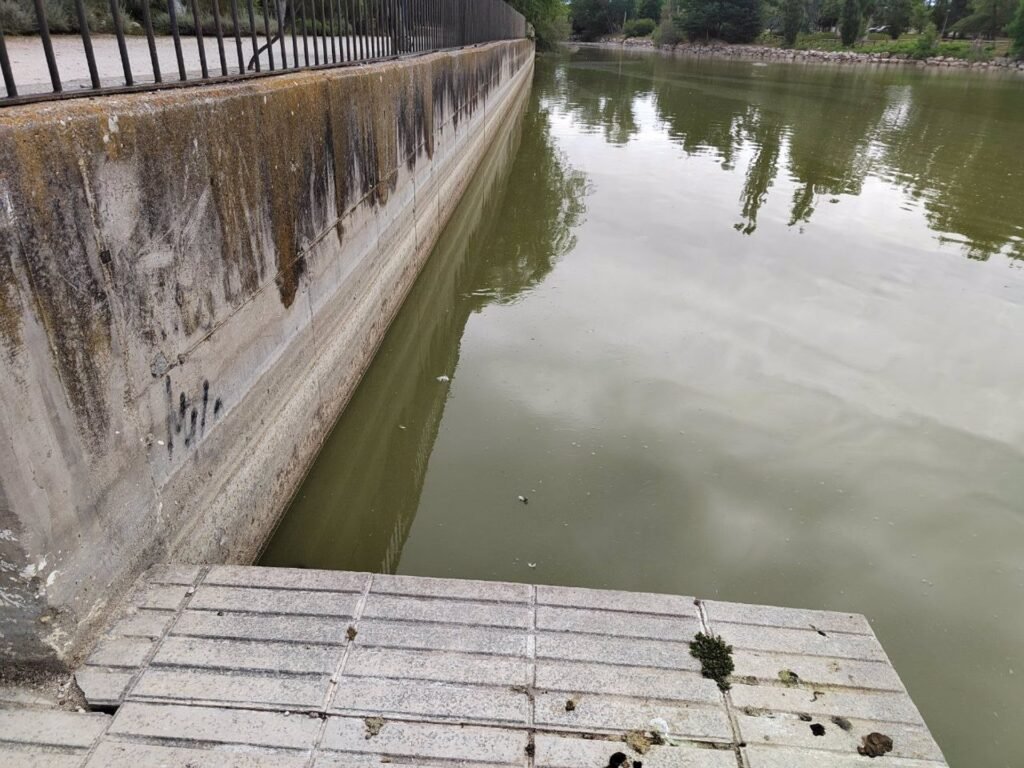 Más Madrid reclama medidas urgentes para que el lago de El Soto tenga el aporte de agua necesario