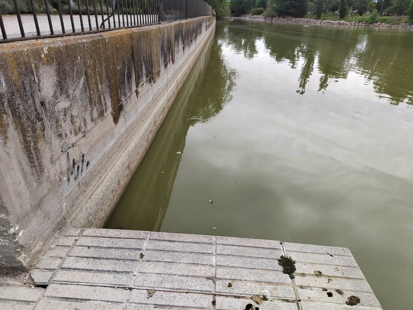 Más Madrid reclama medidas urgentes para que el lago de El Soto tenga el aporte de agua necesario