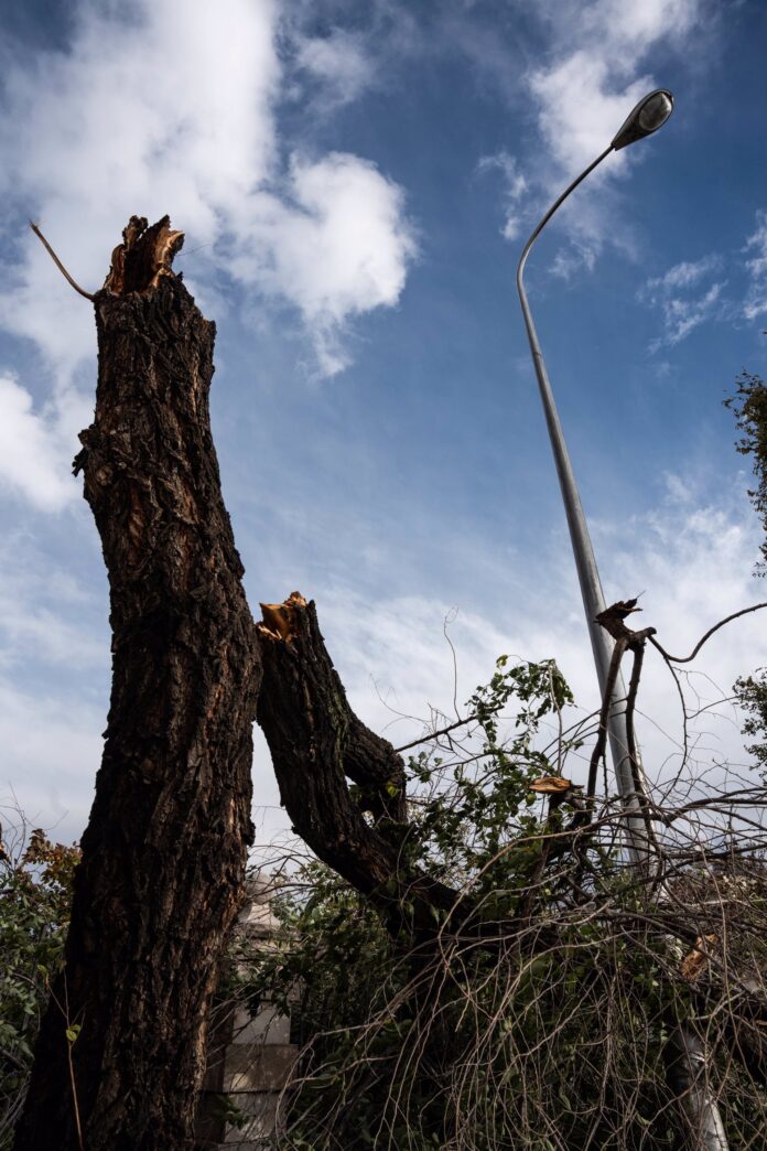 Bomberos realizan un centenar de intervenciones en la capital por el fuerte viento