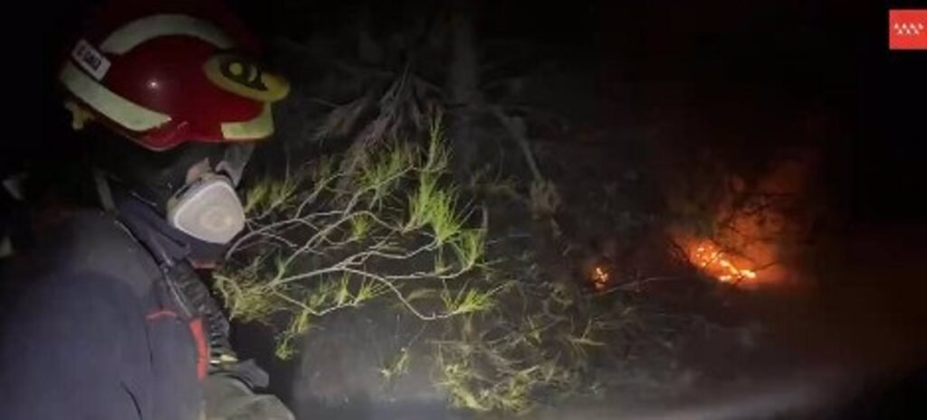 Un incendio en una zona forestal obliga a desalojar viviendas y confinar a vecinos en Rivas-Vaciamadrid