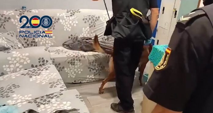 8 detenidos y liberadas 6 mujeres explotadas sexualmente sin descanso y en pésimas condiciones en un piso