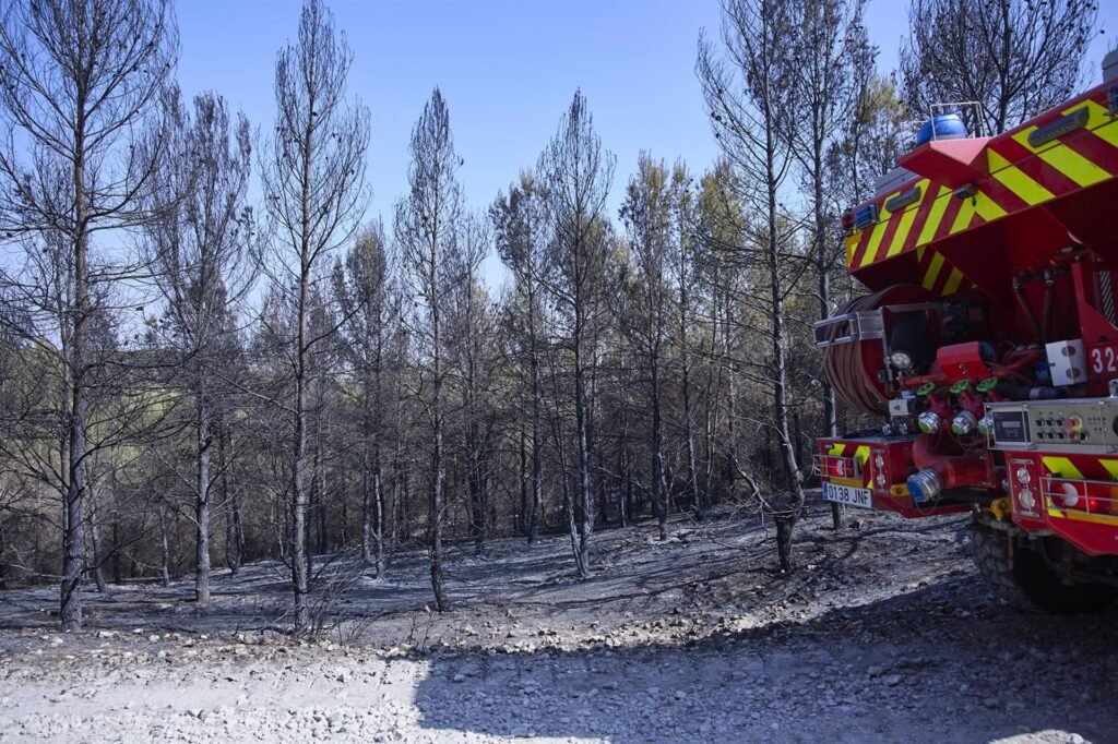Bomberos dan por controlado el incendio de Rivas, donde han ardido 11 hectáreas