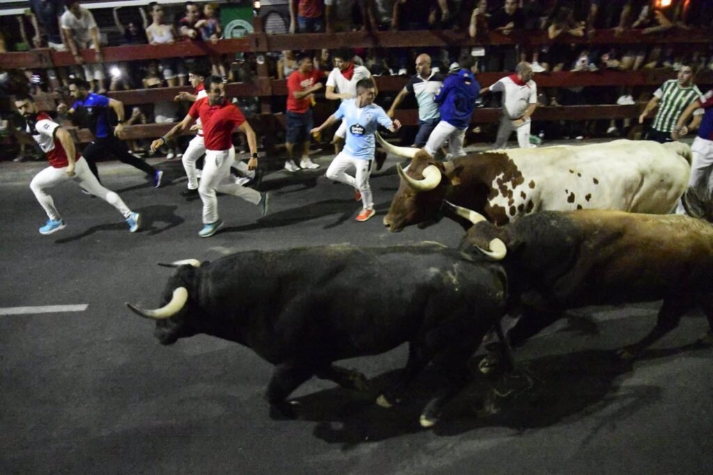 9 heridos por contusiones leves en el encierro nocturno de las fiestas de 'Sanse'