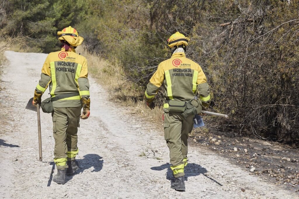 La Comunidad estudiará el impacto de incendios y sequías severas en suelos para optimizar su restauración vegetal
