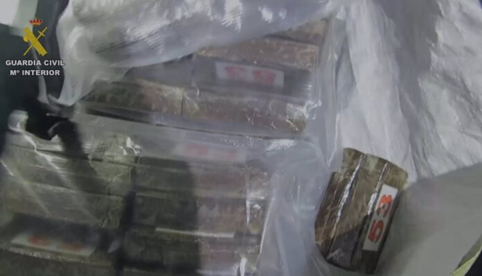 Detenidas dos personas por el cultivo de marihuana dentro de una casa de Torrejón de la Calzada