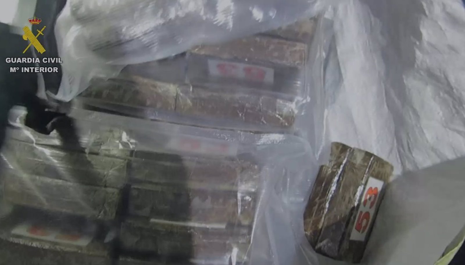 Detenidas dos personas por el cultivo de marihuana dentro de una casa de Torrejón de la Calzada