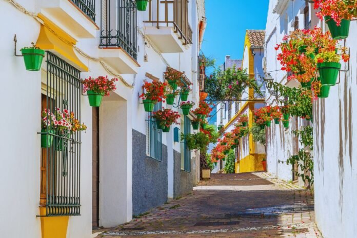 inmobiliaria en casares - IP