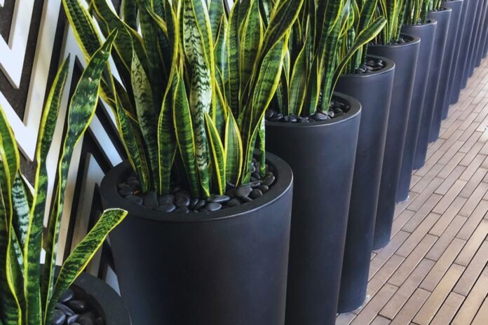 jardineras fibra vidrio - IP